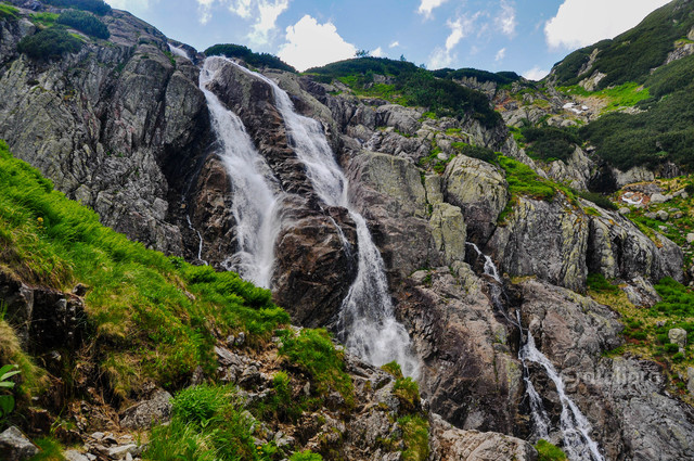 Zbigniew Kapusta #348480