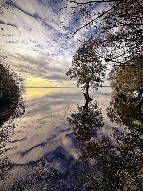 atenytom | autumn in Antrim - N.Ireland