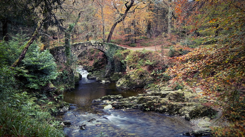 atenytom | Tollymore Forest - N.Ireland - autumn '22
