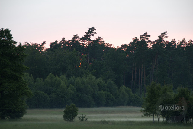 MarekCzubaszek #180415