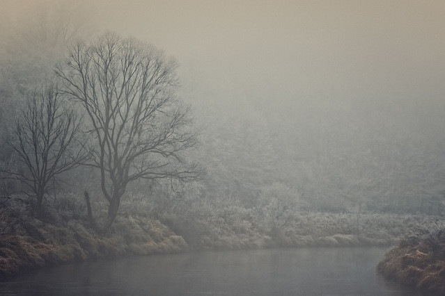 rzecznawistość... PRZEMEK KIJOWSKI -AUTOR #178500