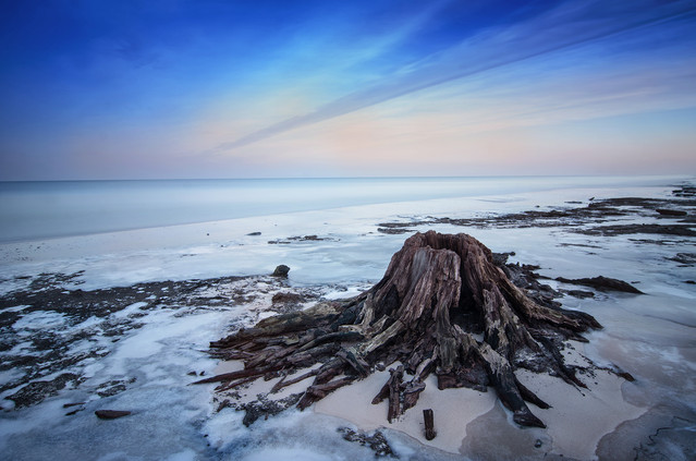 Witold Leśniewski #287378