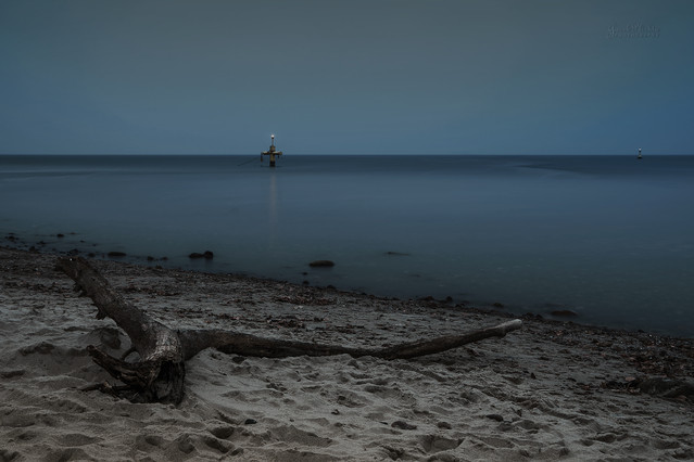 JACEK_PLICHTA #315278