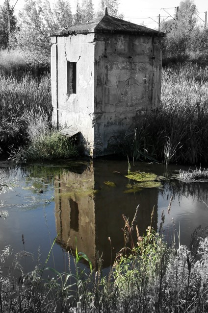 Wojciech Łatka #205097