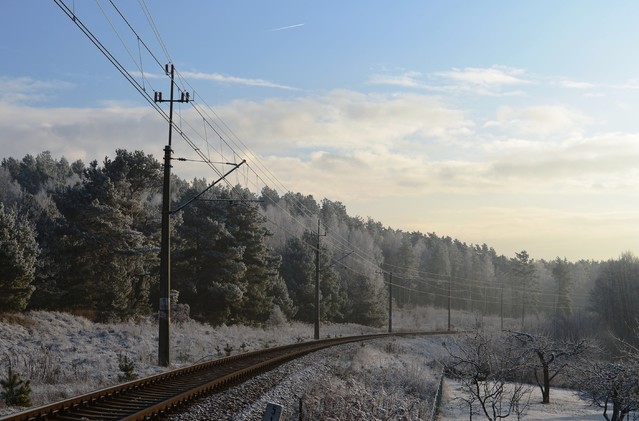 Krzysiek Cegiełka #272010