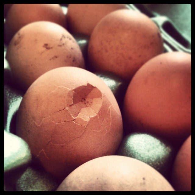I found 3rd Death Star in my fridge! Łukasz Łagód #206374
