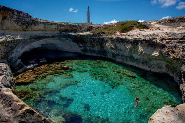 niebieskacytryna #295144