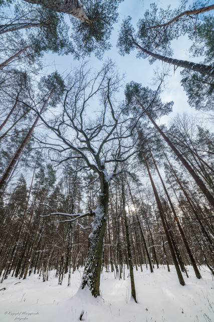 Suwalszczyzna K.Mierzejewski #322263