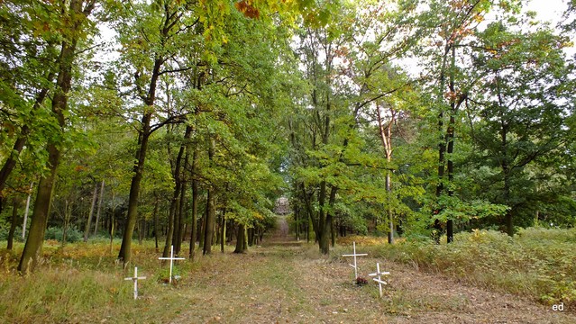 Łódź cementarz Gatka Stra Picasa #300026