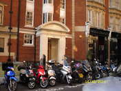 Małgorzata Michalska 