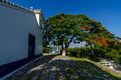 marteoliveira 