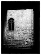 Piotr A. B. OLYMPUS DIGITAL CAMERA