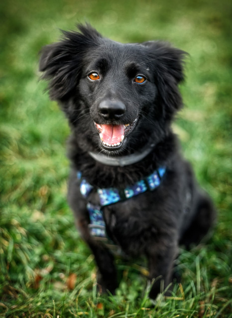 Tomasz Naglik #311364