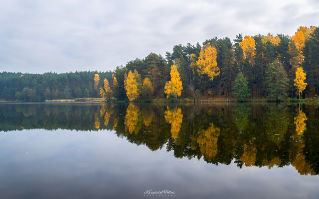 Autumn Krzysztof Tollas #317625