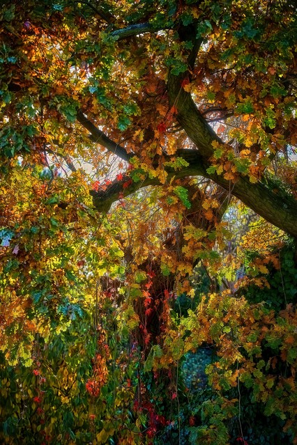 SONY DSC Tomasz Naglik SONY DSC