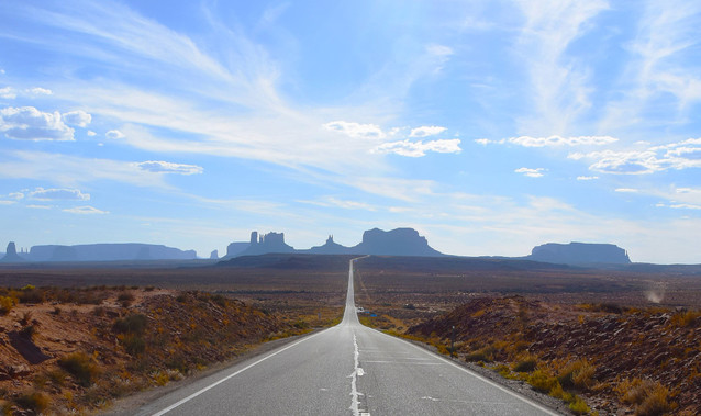 Forest Gump Point Stanisław Hawrus #348431