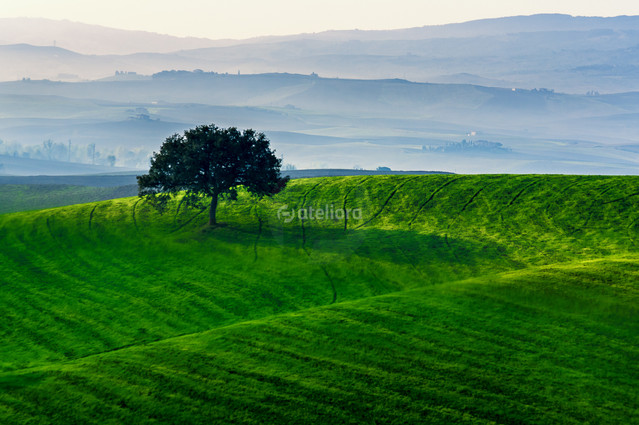 Barbara Prasnowska #266815