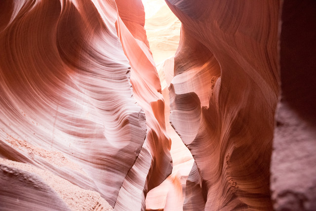 Jacek Pióro #319112