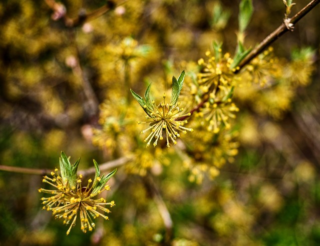 Tomasz Naglik #348850