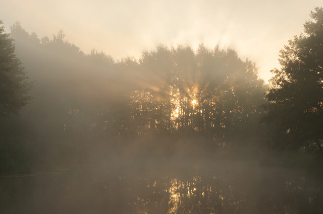 Tomasz Ryś Sunrise over the pond