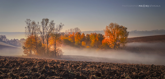 Maciej Dźwigała #284648