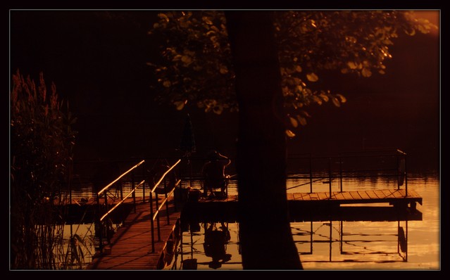 SONY DSC Picasa #289796