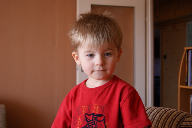 SONY DSC Janusz Metzger #199286