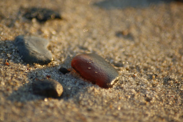 Tomasz Pisulla #237457