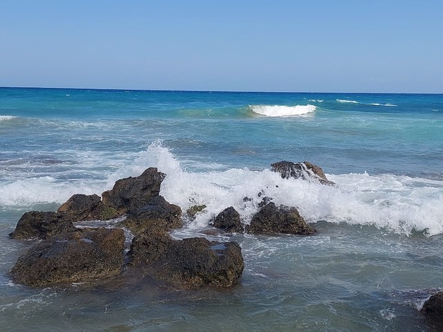 Edmund wronka #348065