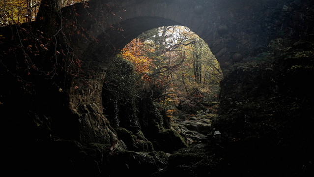 the real world of a real fairy tale atenytom #348526