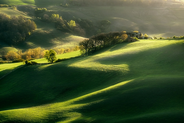 Jarosław Pawlak #166746