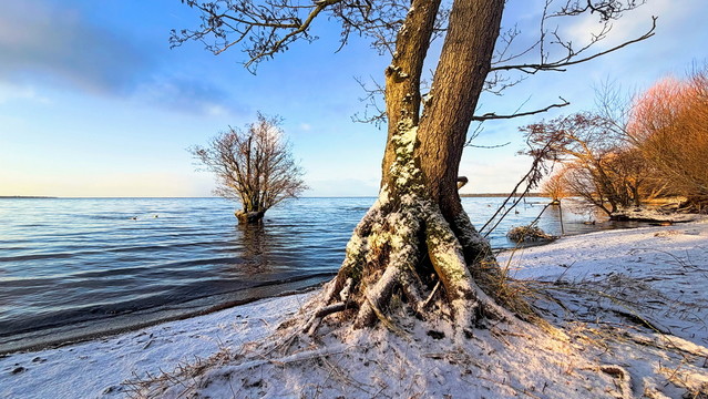 winter '26 - Lough Neagh - N.Ireland atenytom #348609