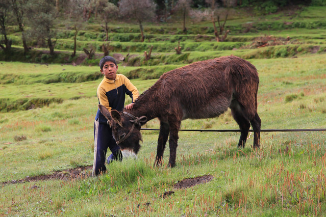 Okoliczne świątynie inkaskie przy Cusco. Peru. Piotr Schmidt