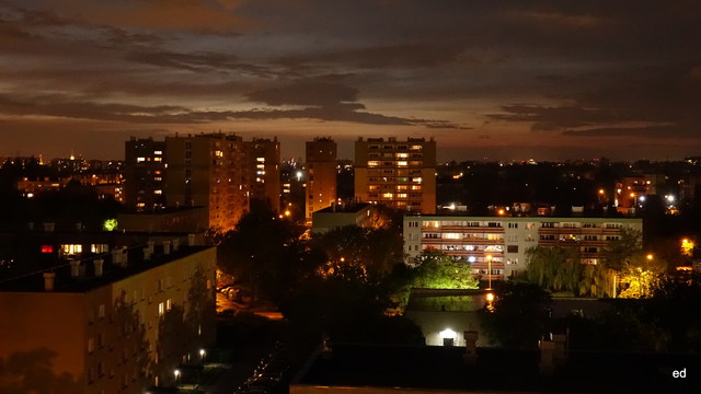 Picasa #348966