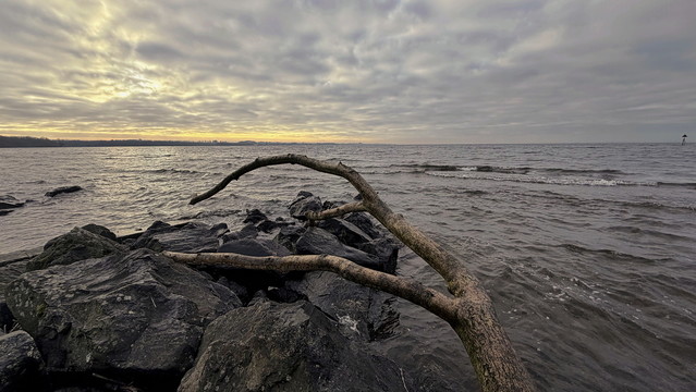 last photo of the old year - farewell atenytom #348585