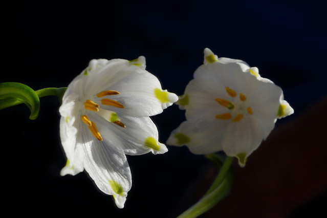 Sławek Rezerwa #348803