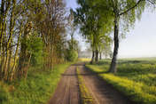 Sławek Rezerwa 