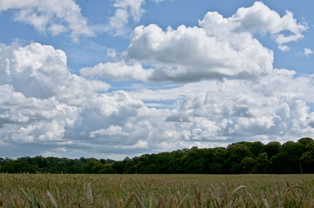 Andrzej Gasiorowski #107291
