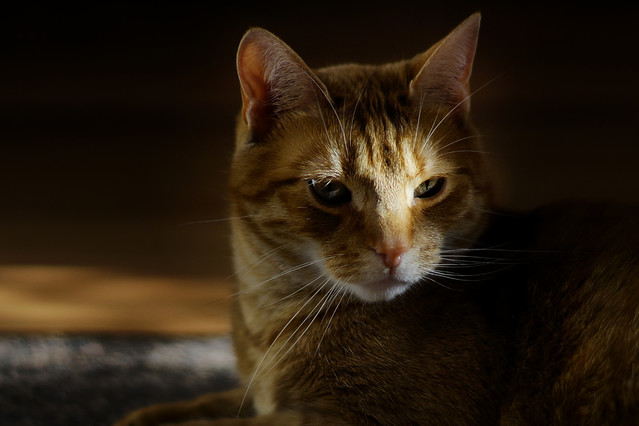 Sławek Rezerwa #348861