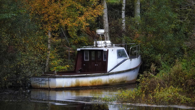 autumn '24 -N.Ireland atenytom #346413