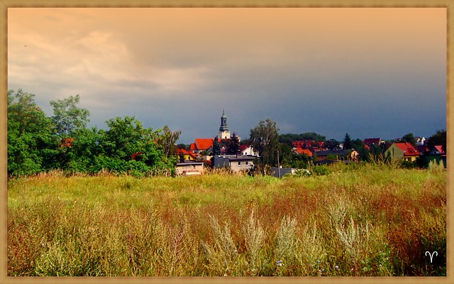 FORDON Piotr Trosiński #170167