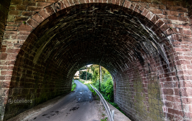 J. Pawel PELECH #317636