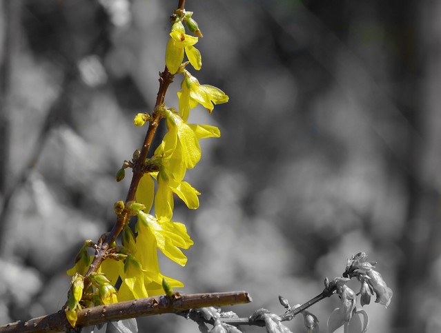 Piotr Michalak #276694