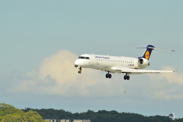 Piotr Ćwikałowski #220340