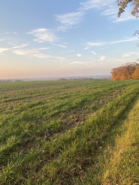 Bogumiła Sipel #346778