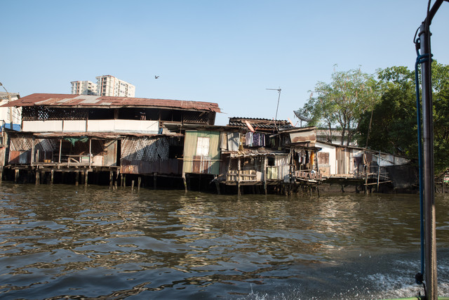 Jacek Pióro #304294