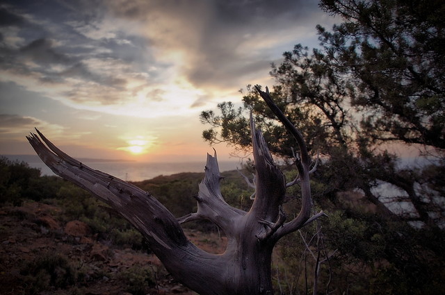 when nature dies atenytom #347797