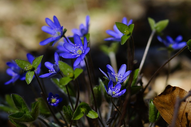 Sławek Rezerwa #348879