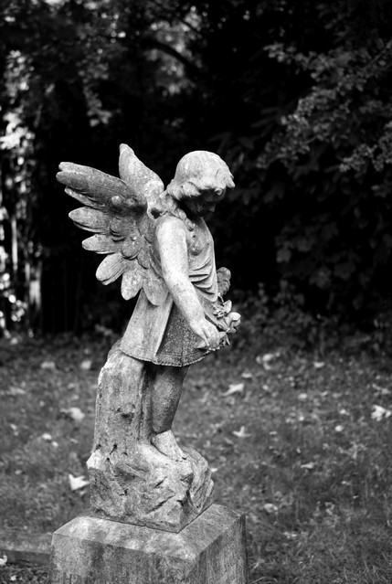 Agnieszka Nawrocka #288017