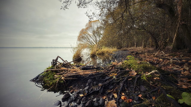 the silence of autumn atenytom #346509